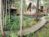 Tofino Beach Homes Vacation Rental
