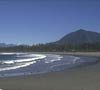 Tofino Vacation Rentals 